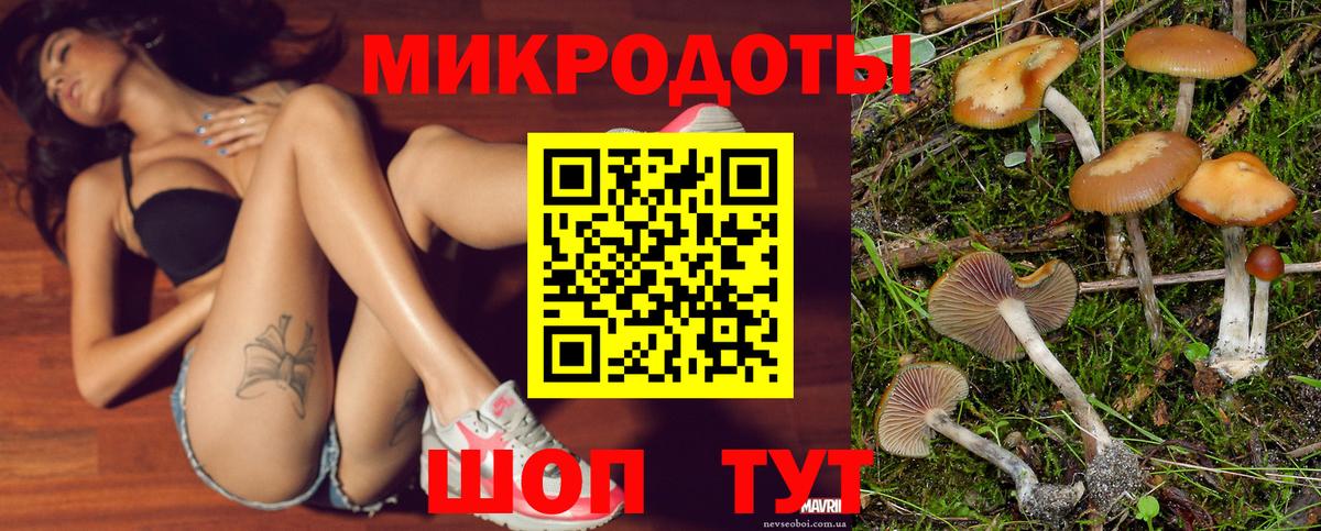 Галлюциногенные грибы GOLDEN TEACHER  Галлюциногенные грибы MAGIC MUSHROOMS  Кириши  Вход с VPN 