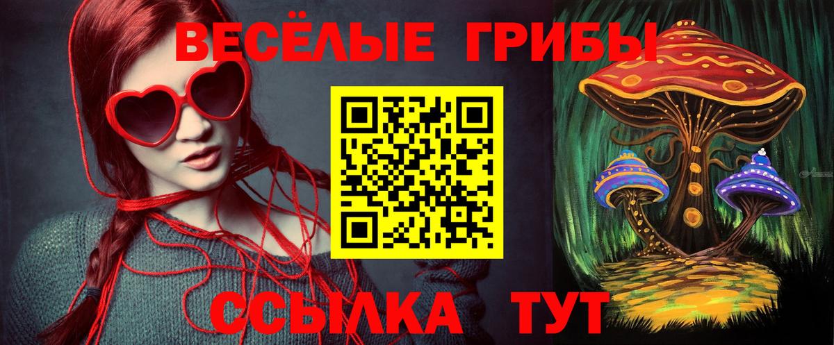 Псилоцибиновые грибы Cubensis Кириши