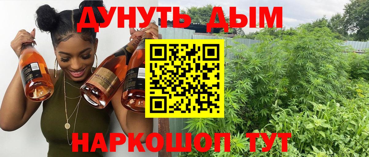 МАРИХУАНА ГИДРОПОН  Каннабис SATIVA & INDICA  Вход с VPN  Кириши  Шишки марихуана сатива 
